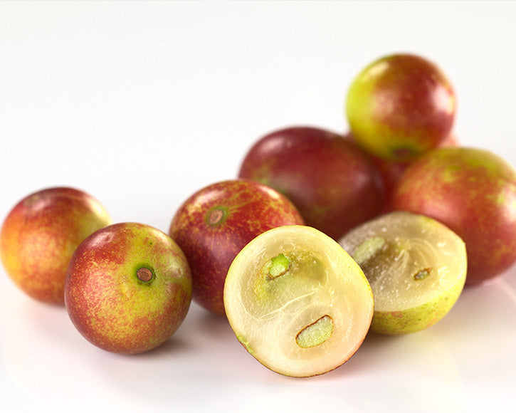 Organic Camu Camu (Myrciaria Dubia) Berry
