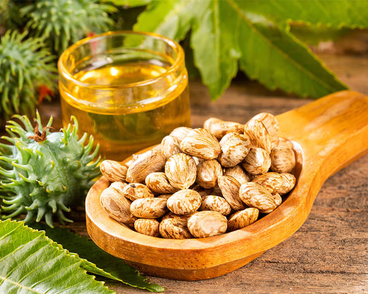 Organic Castor Oil (Ricinus communis)