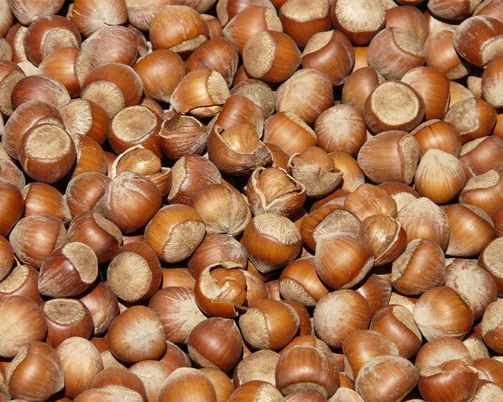 Pure Hazelnut (Corylus Americana) Oil