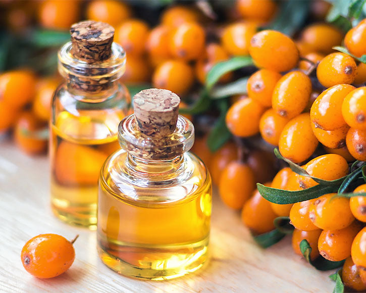 Organic Sea Buckthorn Oil (Hippophae Rhamnoides)
