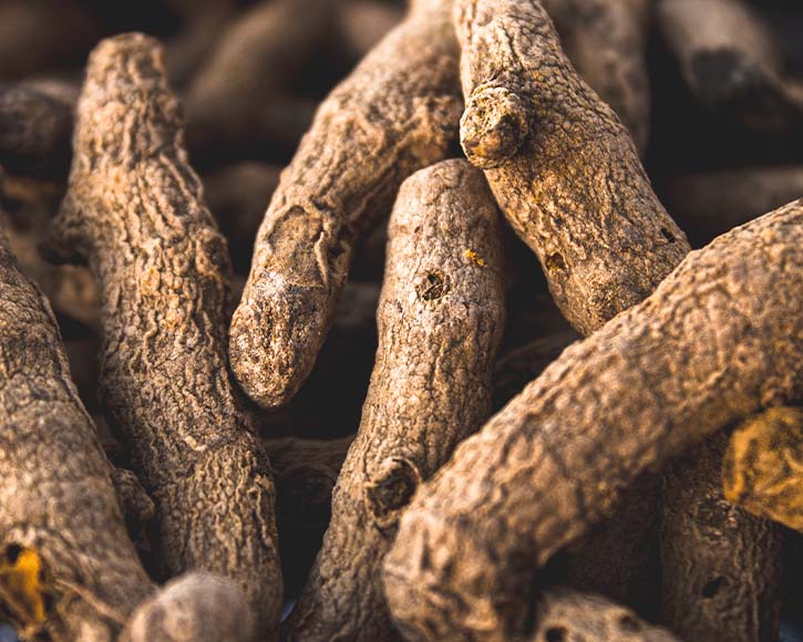 Organic Turmeric Powder (Curcuma longa)