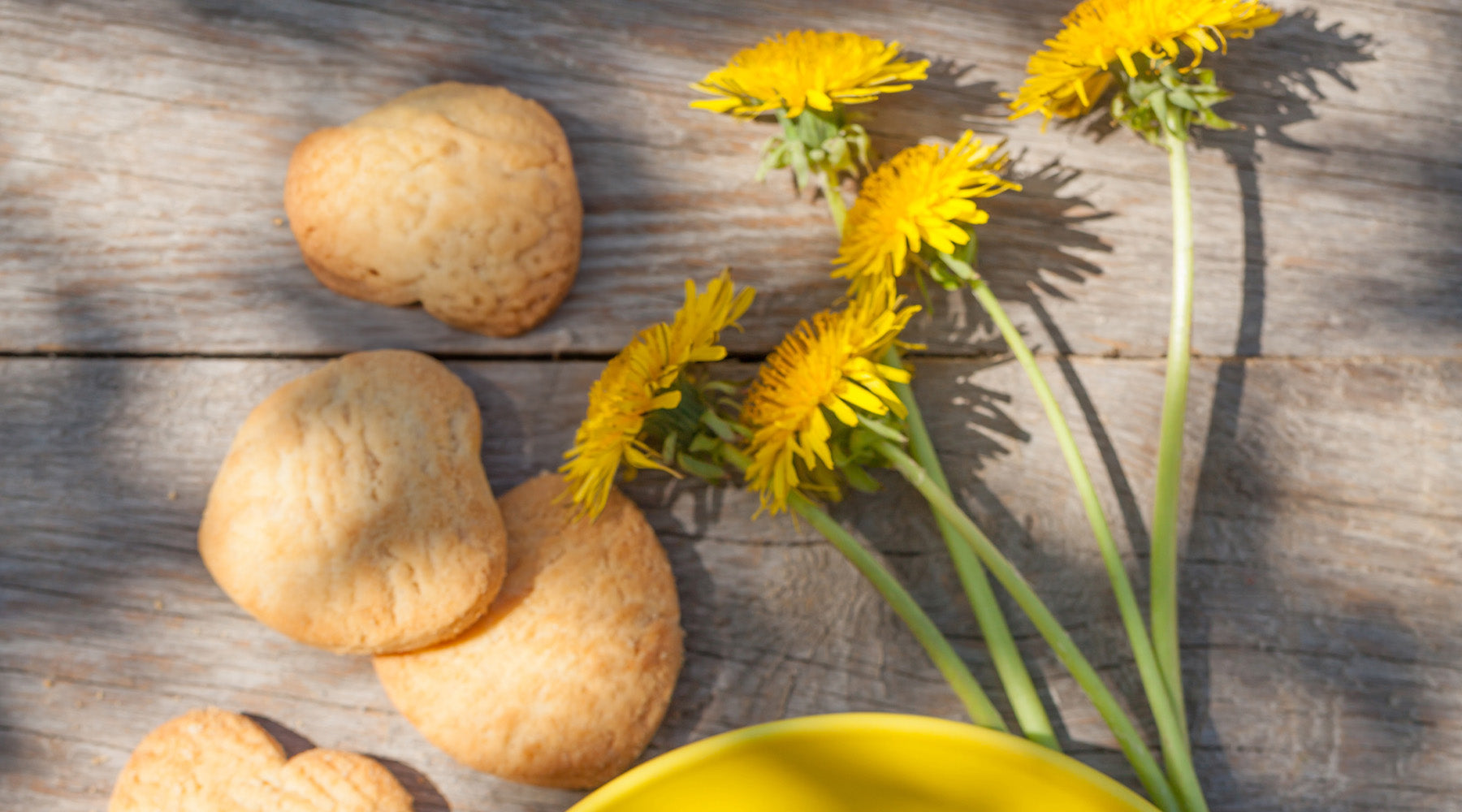 GLUTEN-FREE DANDELION COOKIES