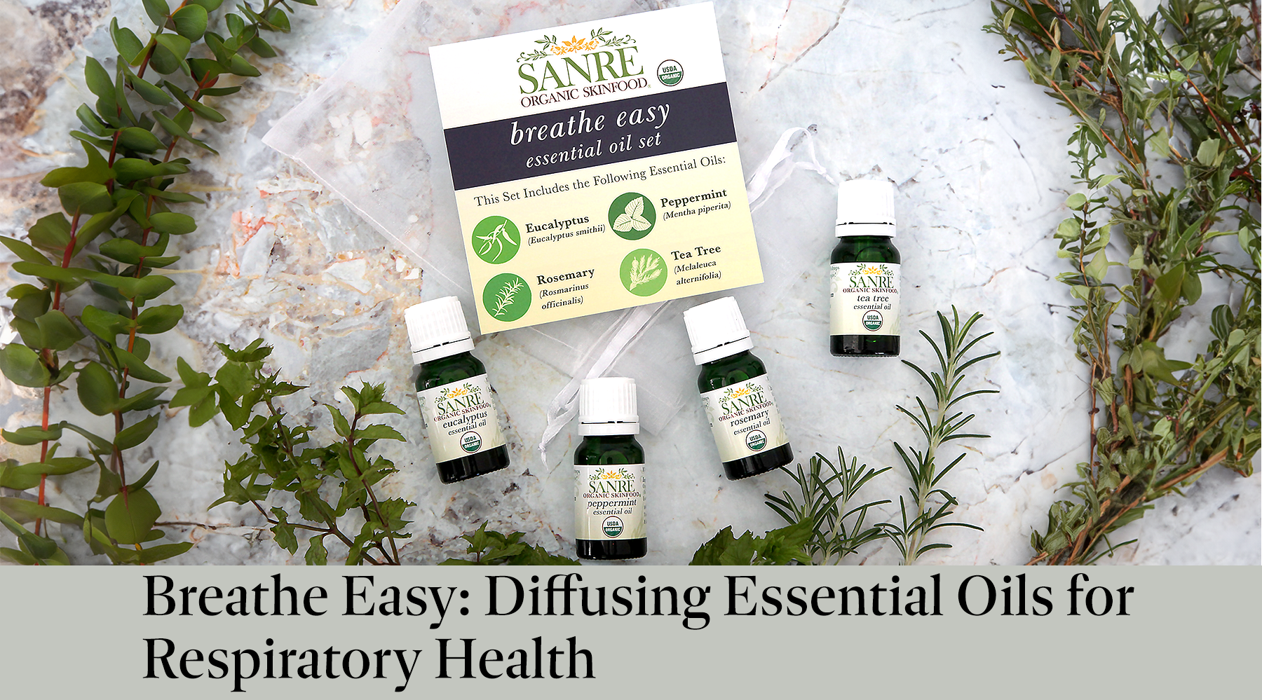 BREATHE EASY: DIFFUSING ESSENTIAL OILS FOR RESPIRATORY HEALTH