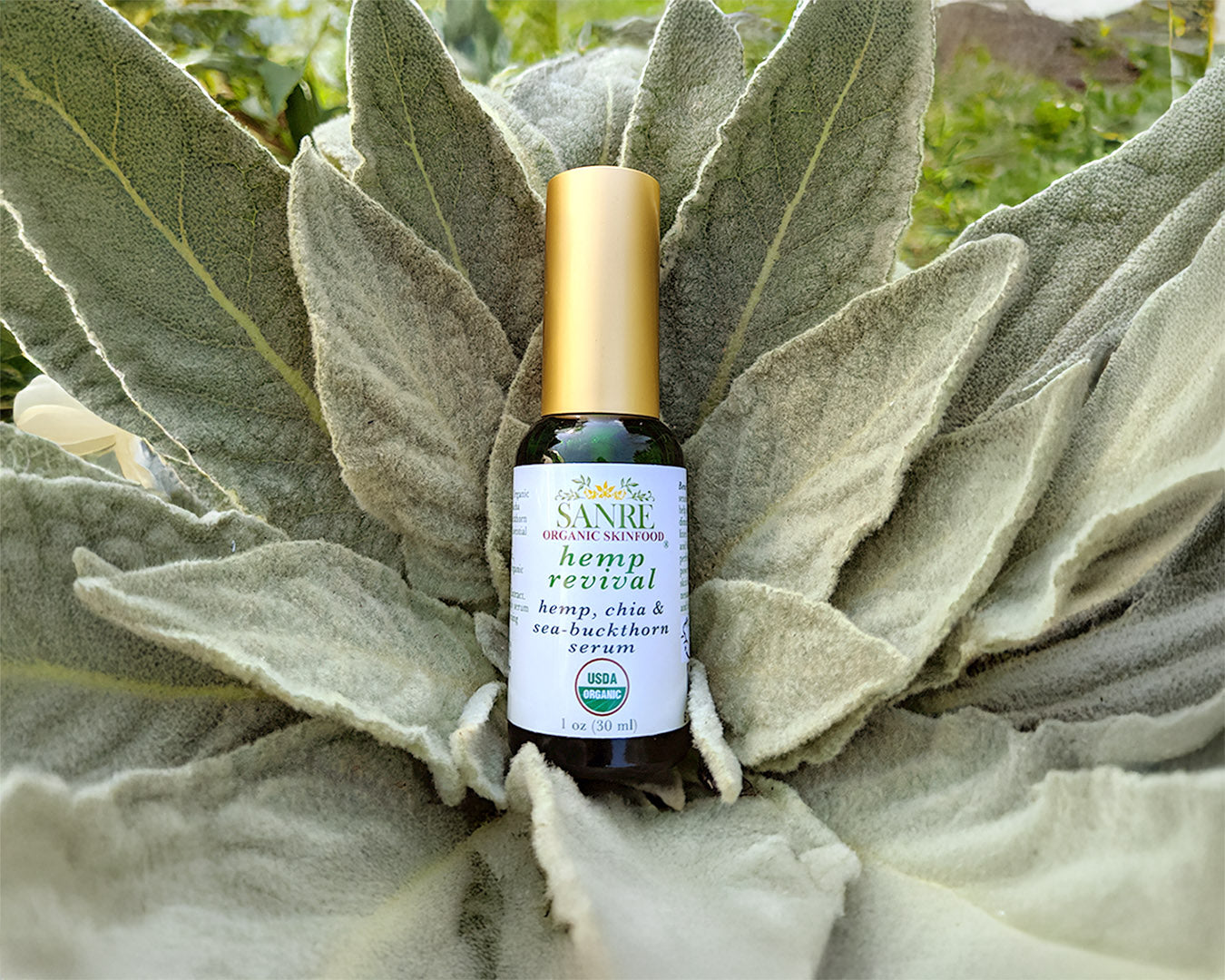 NEW Product - HEMP REVIVAL!  Welcome to the Organic Omega Power of Mother Nature!