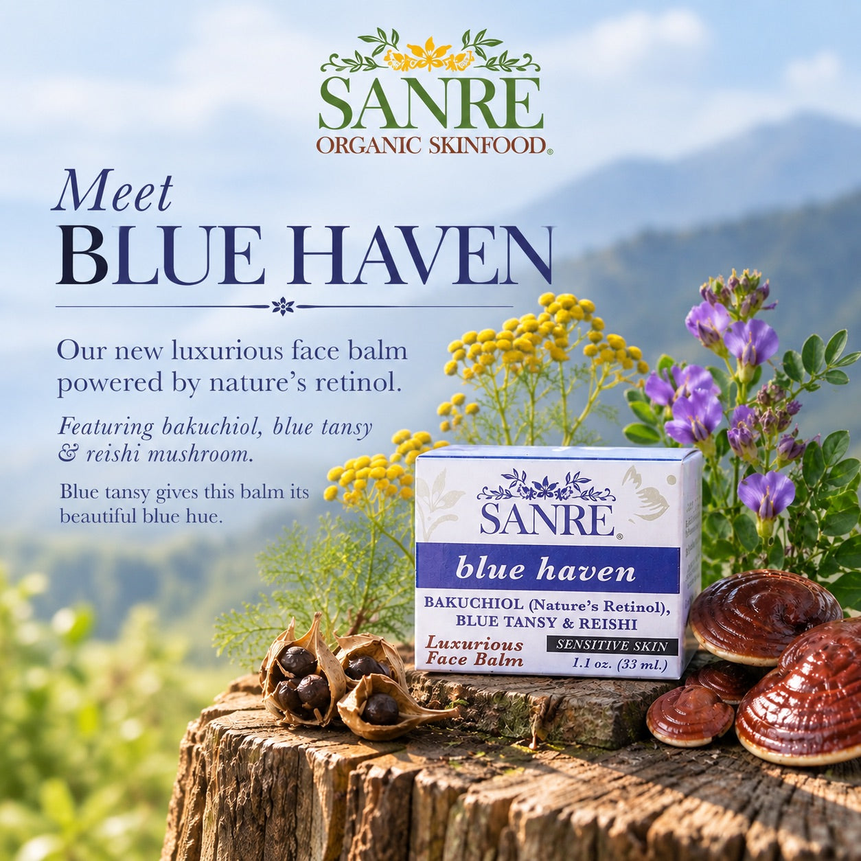 MEET BLUE HAVEN !!!!!