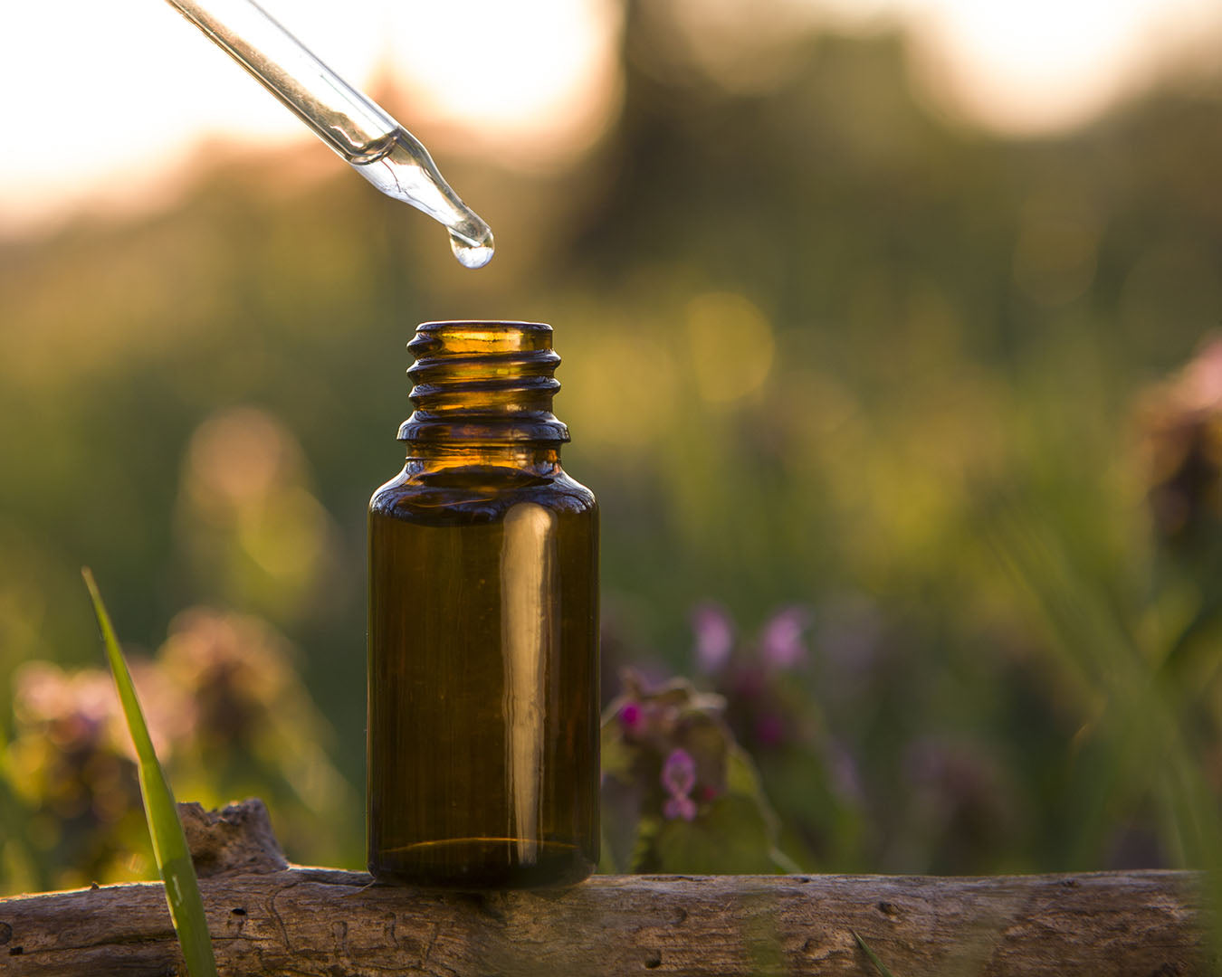 THE ESSENTIAL OIL WILDERNESS...
