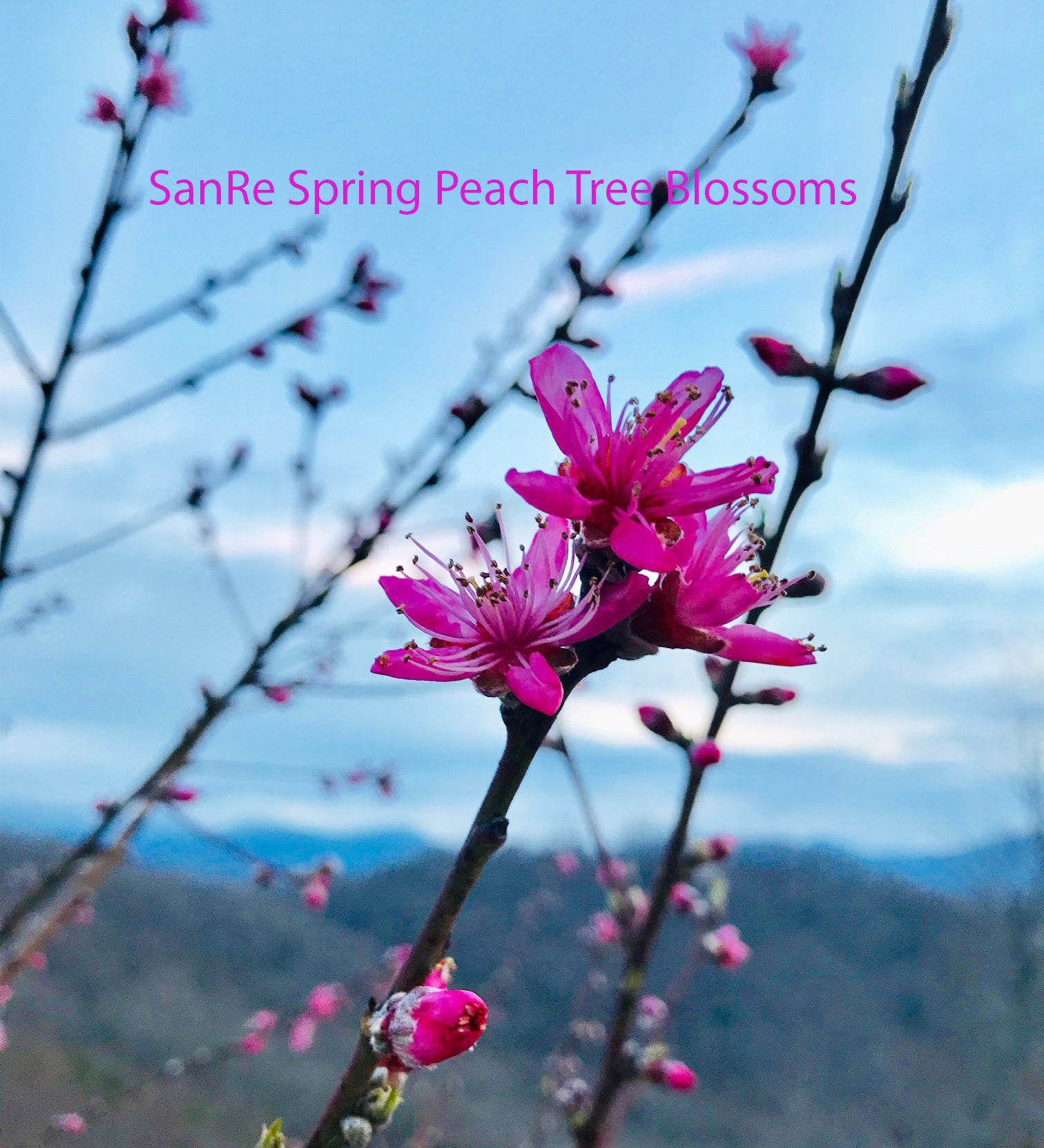 Revitalizing Your Skin This Spring!