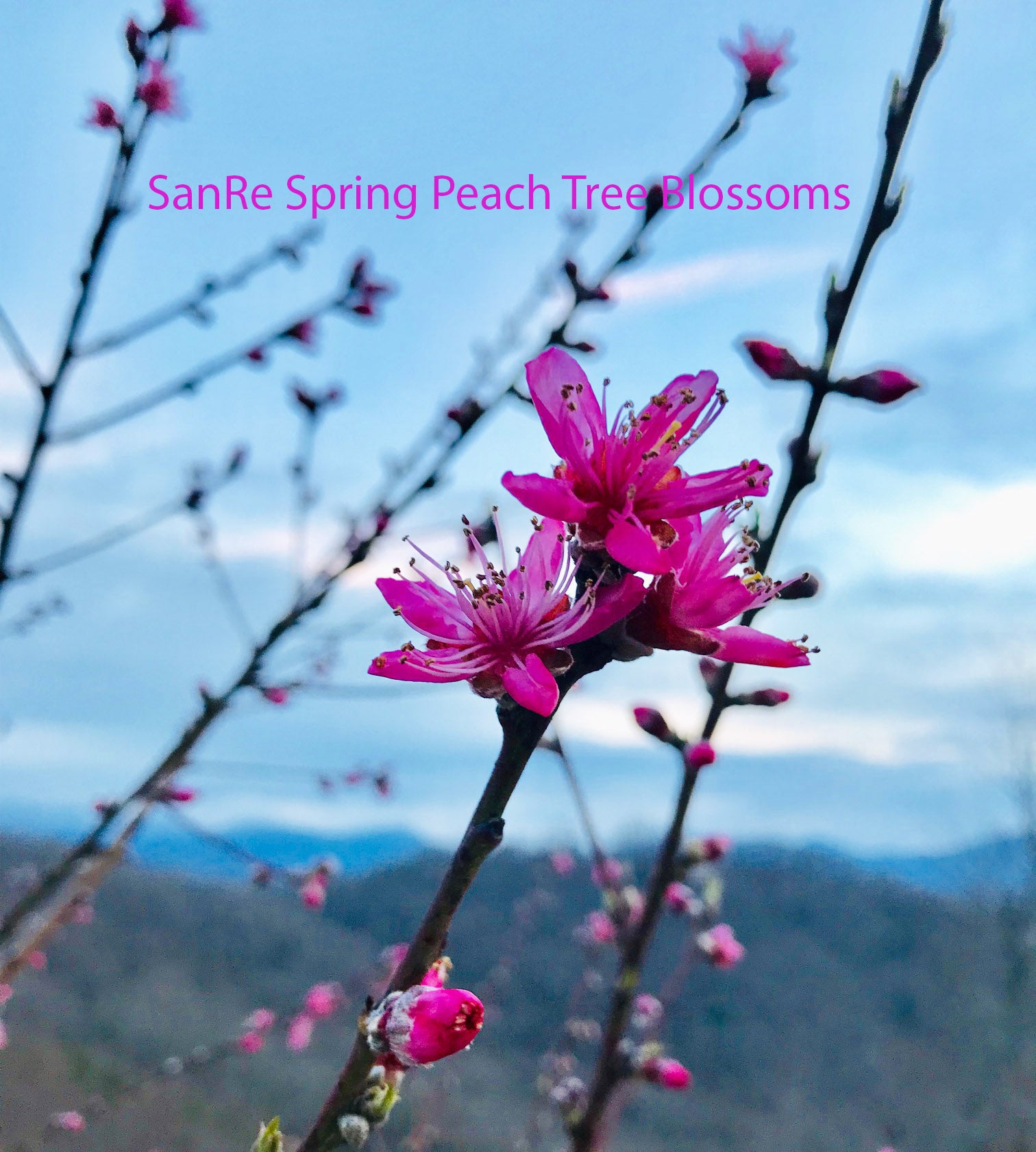 Revitalizing Your Skin This Spring!