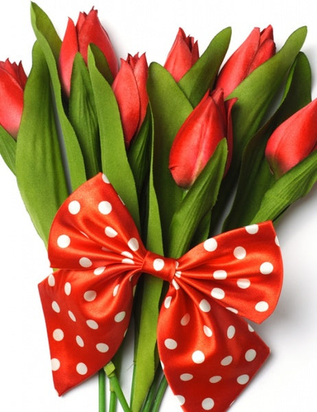 HAPPY INTERATIONAL WOMEN'S DAY !!!