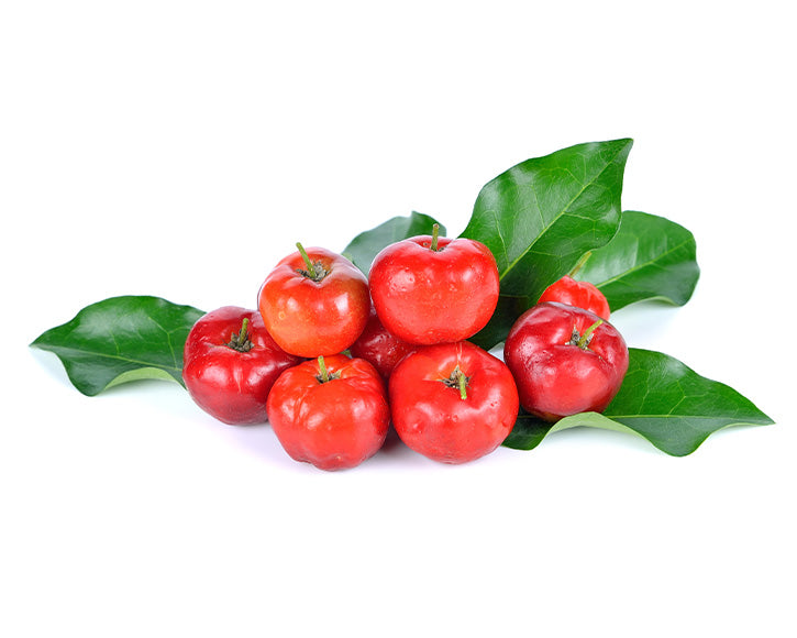 Organic Acerola Cherry Powder (Malpighia emarginata)