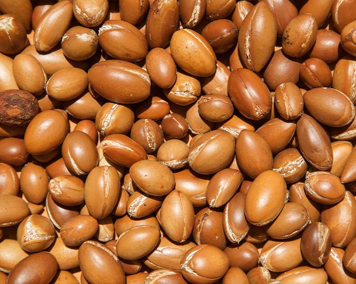 Organic Argan Oil