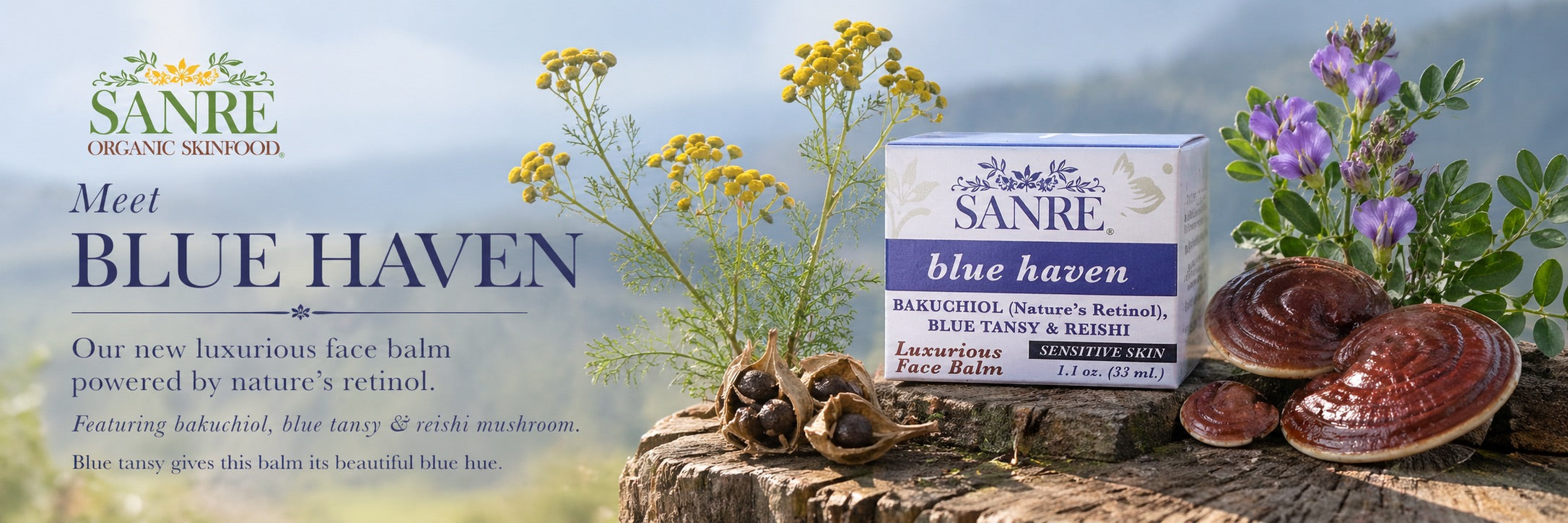 BlueHavenBanner.jpg