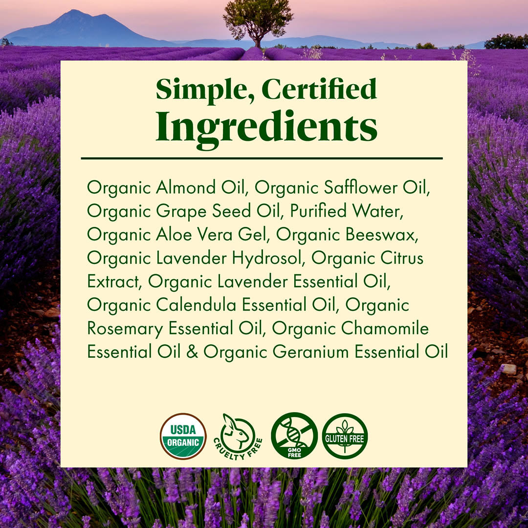 dream about lavender plant LAVENDER DREAM – SanRe Organic Skinfood
