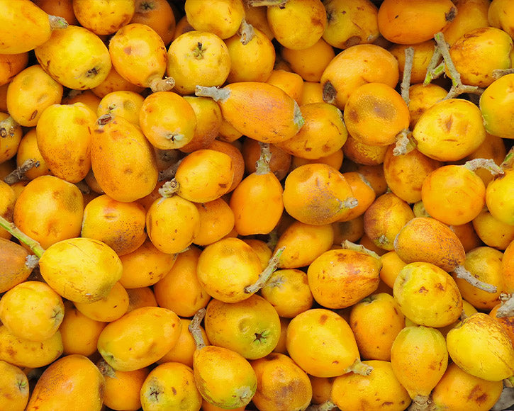 Organic Marula Oil (Sclerocarya Birrea)