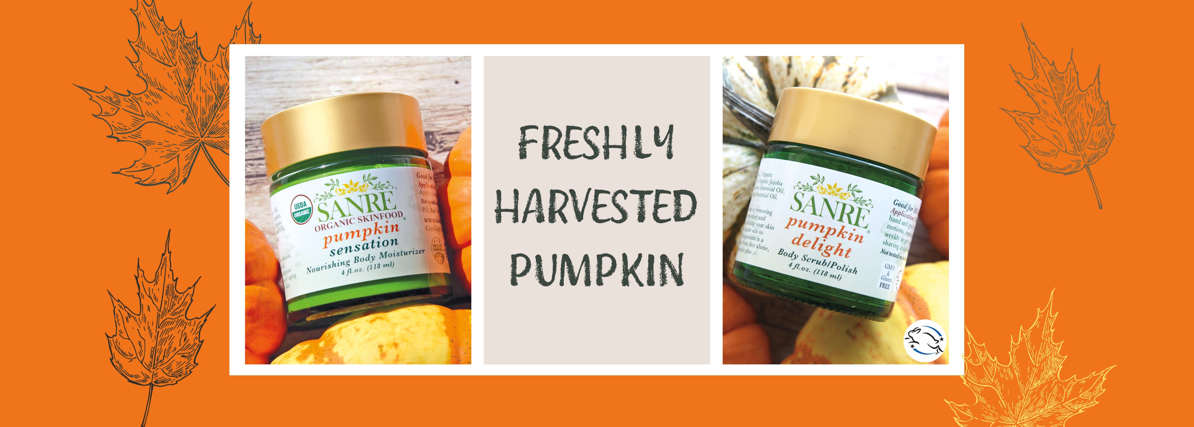 Pumpkin_Banner_v1_2025_copy.jpg