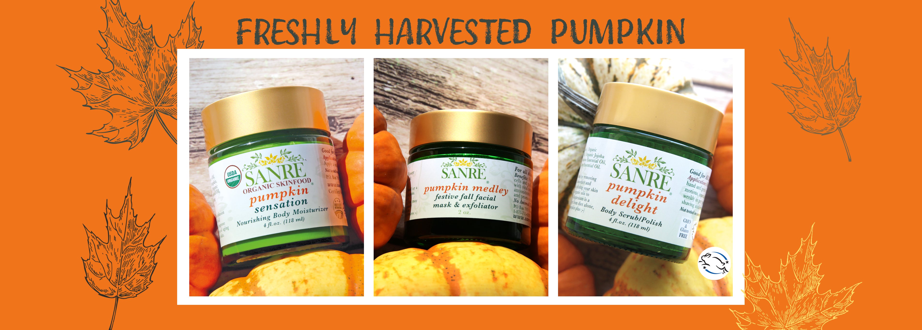 Pumpkin_Banner_v2_2025_copy.jpg