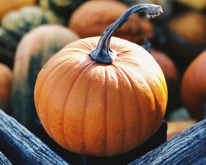 Organic Pumpkin Powder