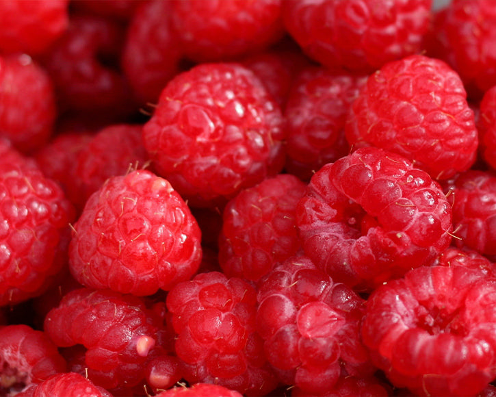 Organic Red Raspberry Seed Oil (Rubus Idaeus)