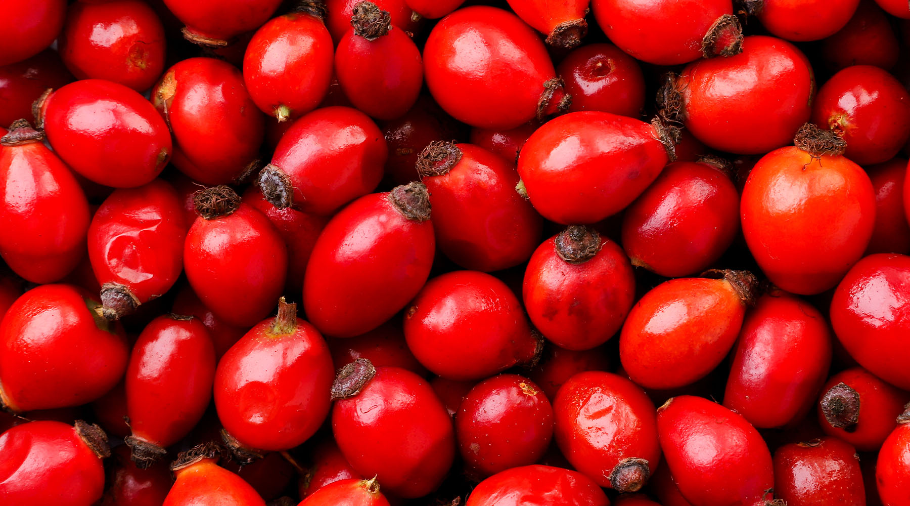 Organic Rosehip Seed (Rosa Canina) Oil