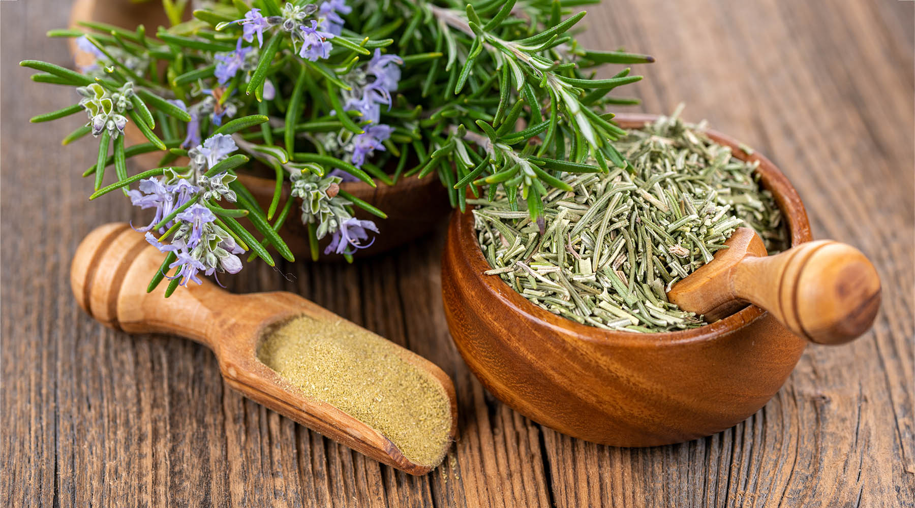 Organic Rosemary (Rosemary Officinalis) Essential Oil