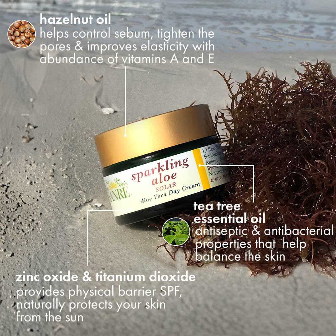 Sparkling_Aloe_Ingredient_Benefits_v3_copy.jpg