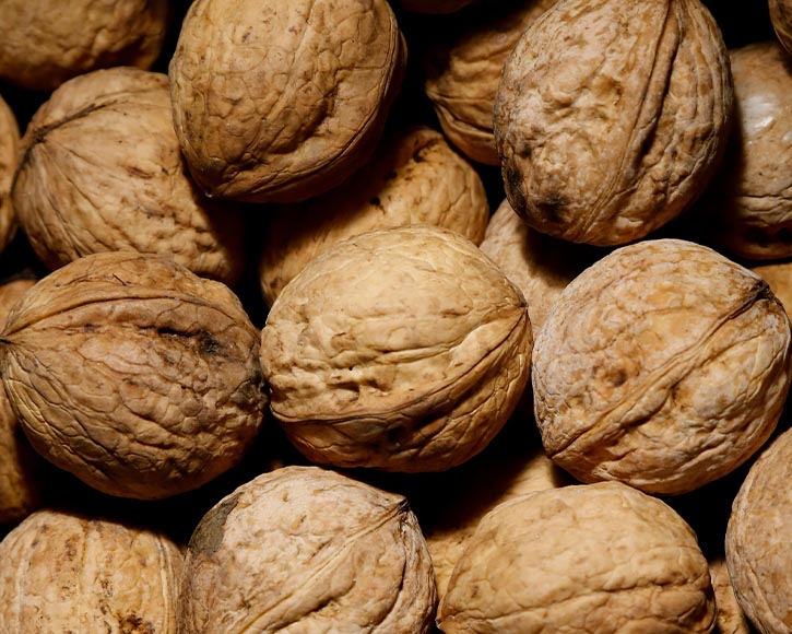 Organic Walnut (Juglans Regia) Oil
